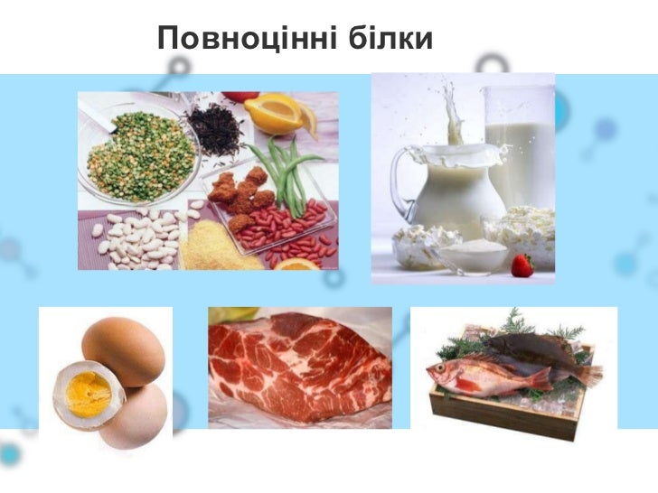 Білки