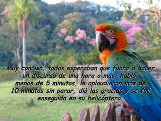 Muy conciso, todos esperaban que fuera a hacer un discurso de una hora o más, habló  menos de 5 minutos, le aplaudieron más de 10 minutos sin parar, dió las gracias y se fué enseguida en su helicóptero. 