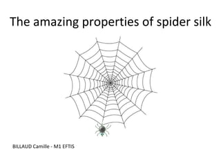 The amazing properties of spider silk BILLAUD Camille - M1 EFTIS 