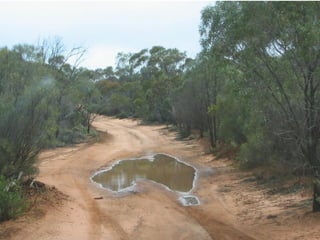 Our family farm in 1982
 