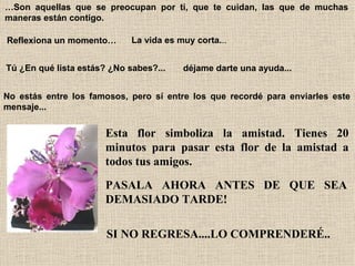 … Son aquellas que se preocupan por ti, que te cuidan, las que de muchas maneras están contigo.   Reflexiona un momento…   La vida es muy corta. .. Tú ¿En qué lista estás? ¿No sabes?...   déjame darte una ayuda...   No estás entre los famosos, pero sí entre los que recordé para enviarles este mensaje...  Esta flor simboliza la amistad. Tienes 20 minutos para pasar esta flor de la amistad a todos tus amigos.   PASALA AHORA ANTES DE QUE SEA DEMASIADO TARDE!   SI NO REGRESA....LO COMPRENDERÉ..   