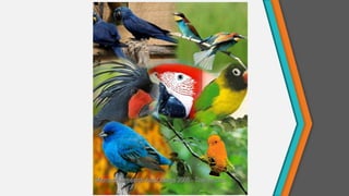 Microsoft Auto Collage