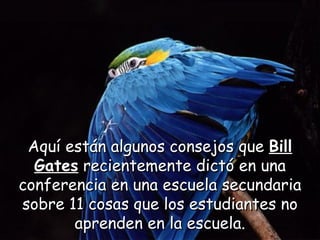 Aquí están algunos consejos que  Bill Gates  recientemente dictó en una conferencia en una escuela secundaria sobre 11 cosas que los estudiantes no aprenden en la escuela. 