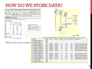 HOW DOWE STORE DATA?
3
###query length COG hit #1 e-value #1 identity #1 score #1 hit length #1 description #1
chr_4[480001-580000].287 4500
chr_4[560001-660000].1 3556
chr_9[400001-500000].503 4211 COG4547 2.00E-04 19 44.6 620 Cobalamin biosynthesis protein CobT (nicot
chr_9[320001-420000].548 2833 COG5406 2.00E-04 38 43.9 1001 Nucleosome binding factor SPN, SPT16 subu
chr_27[320001-404298].20 3991 COG4547 5.00E-05 18 46.2 620 Cobalamin biosynthesis protein CobT (nicot
chr_26[320001-420000].378 3963 COG5099 5.00E-05 17 46.2 777 RNA-binding protein of the Puf family, trans
chr_26[400001-441226].196 2949 COG5099 2.00E-04 17 43.9 777 RNA-binding protein of the Puf family, trans
chr_24[160001-260000].65 3542
chr_5[720001-820000].339 3141 COG5099 4.00E-09 20 59.3 777 RNA-binding protein of the Puf family, trans
chr_9[160001-260000].243 3002 COG5077 1.00E-25 26 114 1089 Ubiquitin carboxyl-terminal hydrolase
chr_12[720001-820000].86 2895 COG5032 2.00E-09 30 60.5 2105 Phosphatidylinositol kinase and protein kina
chr_12[800001-900000].109 1463 COG5032 1.00E-09 30 60.1 2105 Phosphatidylinositol kinase and protein kina
chr_11[1-100000].70 2886
chr_11[80001-180000].100 1523
ANNOTATIONSUMMARY-COMBINEDORFANNOTATION16_Phaeo_genome
What is the data model?
 