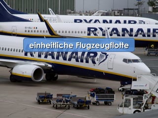 einheitliche Flugzeugflotte 