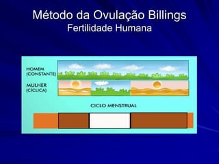 Método da Ovulação Billings
Fertilidade Humana
 