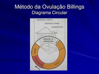Método da Ovulação Billings
Diagrama Circular
 