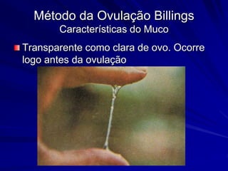 Método da Ovulação Billings
Características do Muco
Transparente como clara de ovo. Ocorre
logo antes da ovulação
 