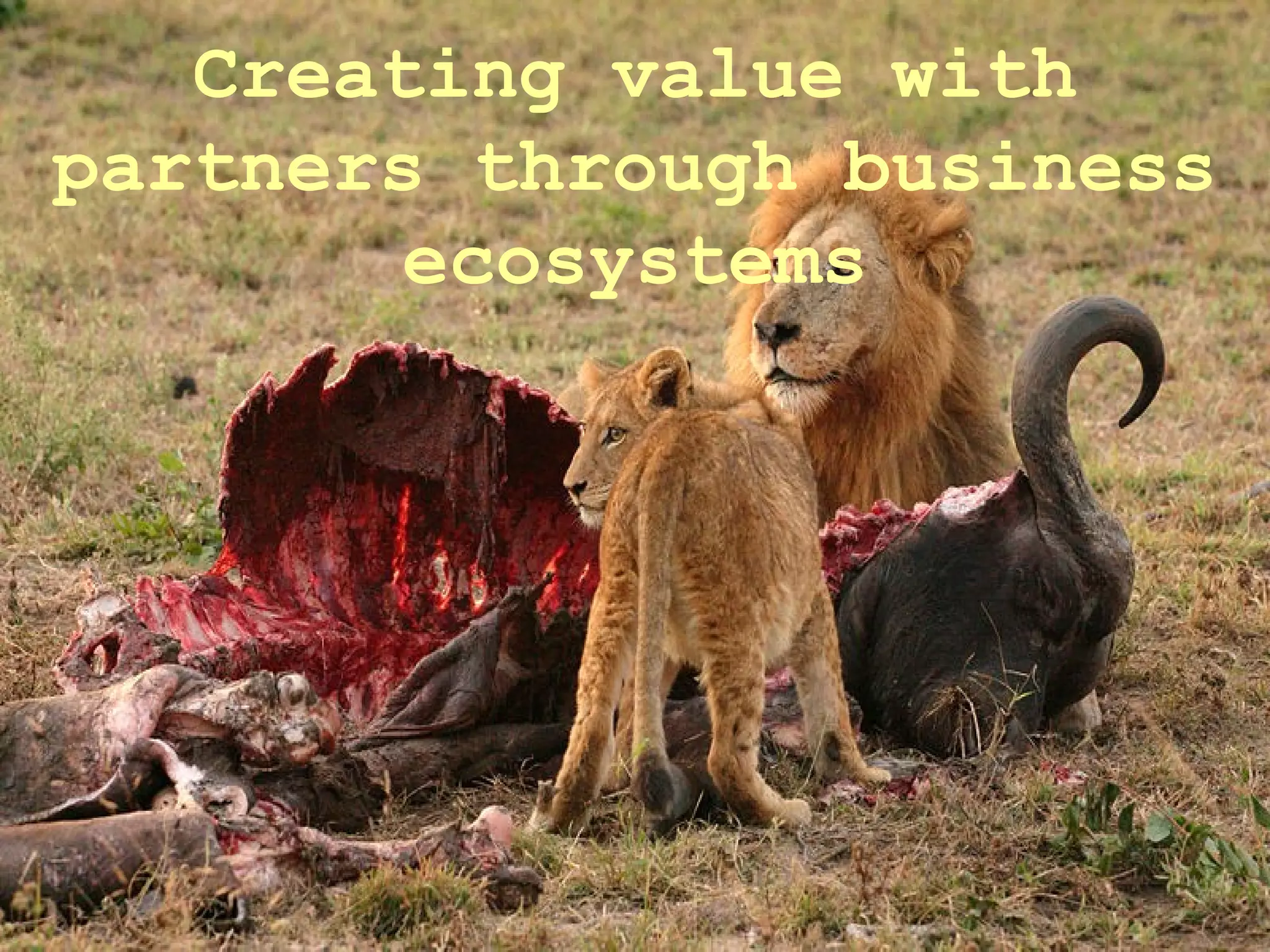 Creating value with partners through business ecosystems 