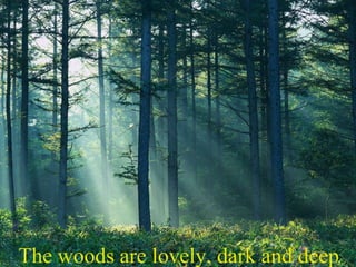 The woods are lovely, dark and deep
 