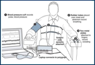 Article 203Article 203Article 203Article 203