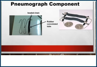 Article 203Article 203Article 203Article 203