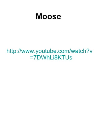 Moose   http:// www.youtube.com/watch?v =7DWhLi8KTUs   