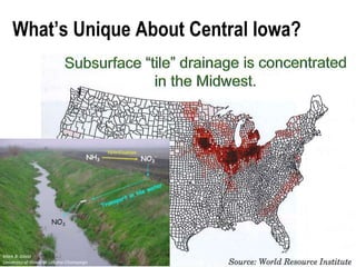 What’s Unique About Central Iowa?
Mark B. David
University of Illinois at Urbana-Champaign
 
