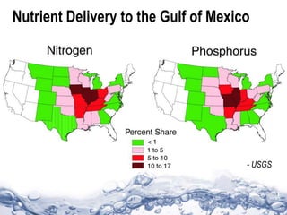 Nutrient Delivery to the Gulf of Mexico
- USGS
 