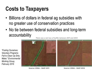 Costs to Taxpayers
• Billions of dollars in federal ag subsidies with
no greater use of conservation practices
• No tie between federal subsidies and long-term
accountability
“Fooling Ourselves:
Voluntary Programs
Fail to Clean Up Dirty
Water,” Environmental
Working Group,
February 2016
 