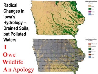 Radical
Changes in
Iowa’s
Hydrology –
Drained Soils,
but Polluted
Waters
I
O
W
A
we
ildlife
n Apology
 