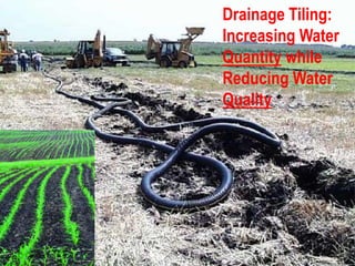Treatment Plant
Recharge Ponds
Drainage Tiling:
Increasing Water
Quantity while
Reducing Water
Quality
 