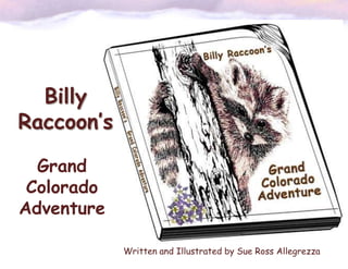 Billy
Raccoon’s

  Grand
 Colorado
Adventure

            Written and Illustrated by Sue Ross Allegrezza
 