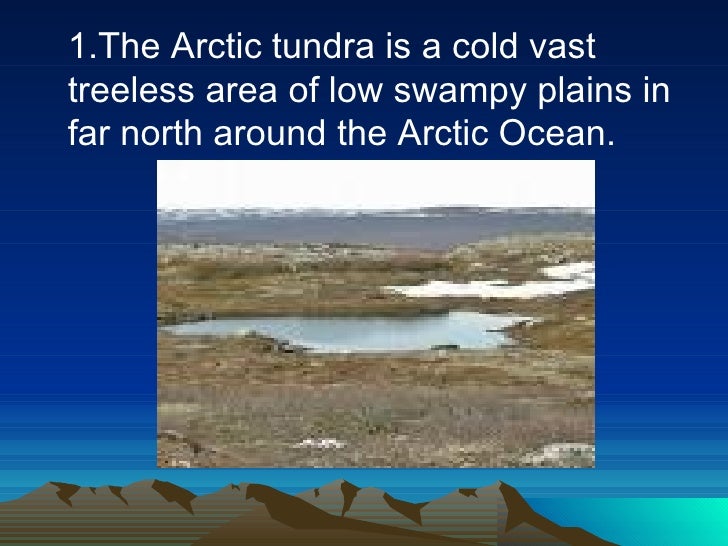 facts about the tundra
