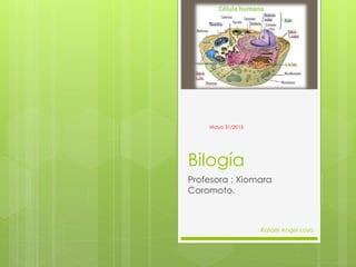 Bilogía
Profesora : Xiomara
Coromoto.
Rafael Angel Loyo
Mayo 31/2015
 