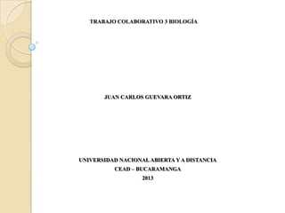 TRABAJO COLABORATIVO 3 BIOLOGÍA
JUAN CARLOS GUEVARA ORTIZ
UNIVERSIDAD NACIONAL ABIERTA Y A DISTANCIA
CEAD – BUCARAMANGA
2013
 