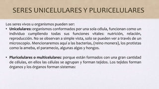 SERES UNICELULARES Y PLURICELULARES
Los seres vivos u organismos pueden ser:
• Unicelulares: organismos conformados por una sola célula, funcionan como un
individuo cumpliendo todas sus funciones vitales: nutrición, relación,
reproducción. No se observan a simple vista, solo se pueden ver a través de un
microscopio. Mencionaremos aquí a las bacterias, (reino monera), los protistas
como la ameba, el paramecio, algunas algas y hongos.
• Pluricelulares o multicelulares: porque están formados con una gran cantidad
de células, en ellos las células se agrupan y forman tejidos. Los tejidos forman
órganos y los órganos forman sistemas:
 