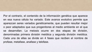 Por el contrario, el contenido de la información genética que aparece
en esa nueva célula ha variado. Este avance evolutivo permite que
aparezcan seres variados genéticamente, que pueden resultar mejor
o peor adaptados que sus progenitores al medio ambiente en el que
se desarrollan. La meiosis ocurre en dos etapas de división,
denominadas primera división meiótica y segunda división meiótica.
Cada una de ellas se divide en 4 fases que reciben el nombre de
profase, metafase, anafase y telofase.
 