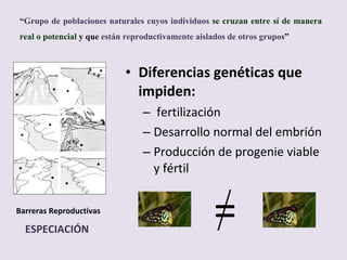 Diferencias genéticas que impiden: fertilización Desarrollo normal del embrión Producción de progenie viable y fértil “ Grupo de poblaciones naturales cuyos individuos  se cruzan entre sí de manera real o potencial  y que  están reproductivamente aislados de otros grupos ” Barreras Reproductivas ESPECIACIÓN = 