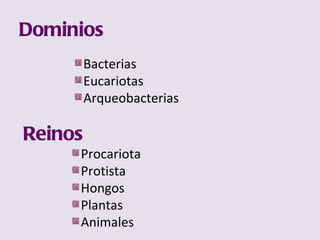 Dominios Bacterias Eucariotas Arqueobacterias Reinos Procariota Protista Hongos Plantas Animales 