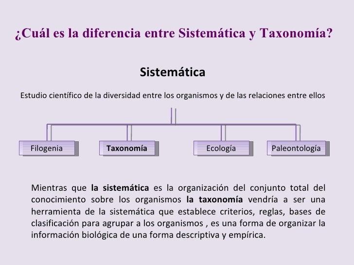 Bilogia ii clase 2