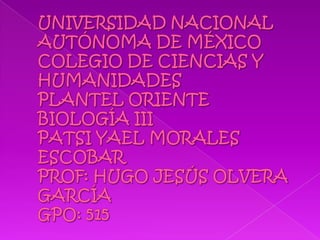 UNIVERSIDAD NACIONAL AUTÓNOMA DE MÉXICOCOLEGIO DE CIENCIAS Y HUMANIDADES PLANTEL ORIENTEBIOLOGÍA IIIPATSI YAEL MORALES ESCOBARPROF: HUGO JESÚS OLVERA GARCÍAGPO: 515 