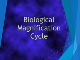 Biological
Magnification
Cycle
 