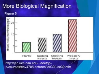 More Biological Magnification
http://jan.ucc.nau.edu/~doetqp-
p/courses/env470/Lectures/lec39/Lec39.htm
Figure 5
 