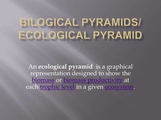 Bilogical Pyramids/ Ecological Pyramid An ecological pyramid  is a graphical representation designed to show the biomass or biomass productivity at each trophic level in a given ecosystem. 