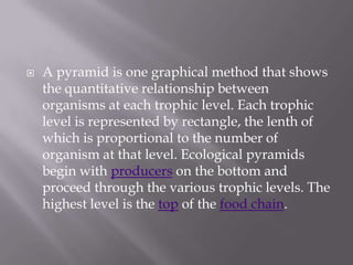 A pyramid is one graphical method that shows the quantitative relationship between organisms at each trophic level. Each trophic level is represented by rectangle, the lenth of which is proportional to the number of organism at that level. Ecological pyramids begin with producers on the bottom and proceed through the various trophiclevels. The highest level is the top of the food chain.