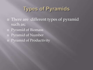 Types of PyramidsThere are  different types of pyramid such as;Pyramid of BiomassPyramid of NumberPyramid of Productivity 