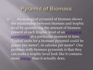 Pyramid of Biomass      An ecological pyramid of biomass shows the relationship between biomass and trophic level by quantifying the amount of biomass present at each trophic level of an ecological community at a particular moment in time. Typical units for a biomass pyramid could be grams per meter2, or calories per meter2.  One problem with biomass pyramids is that they can make a trophic level look like it contains more energy than it actually does.