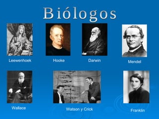 Wallace Leewenhoek Mendel Hooke Franklin Watson y Crick Darwin Biólogos 