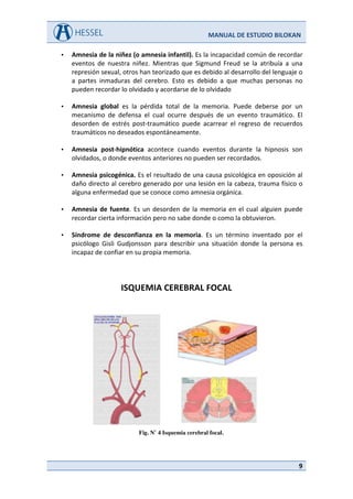 Amnesia Infatil Manual de Estudio Bilokan, Nuestro Cerebro y su Importancia. | PDF