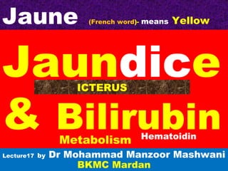 Jaundice
& Bilirubin
Lecture17 by Dr Mohammad Manzoor Mashwani
BKMC Mardan
Metabolism
Jaune (French word)- means Yellow
ICTERUS
Hematoidin
 