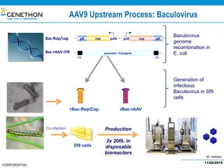 M. Hebben
CONFIDENTIAL
Baculovirus
genome
recombination in
E. coli
Generation of
infectious
Baculovirus in Sf9
cells
Production
2x 200L in
disposable
bioreactors
Bac-Rep/cap	 rep	 polh	 p10	 pA	pA	 cap	
promoter-	Transgene	Bac-rAAV-ITR	
ITR	 ITR	
rBac-rAAVrBac-Rep/Cap
Co infection
Sf9 cells
AAV9 Upstream Process: Baculovirus
11/02/2015
 