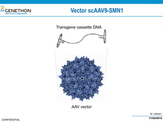 M. Hebben
CONFIDENTIAL
Vector scAAV9-SMN1
11/02/2015
Transgene cassette DNA
AAV vector
 