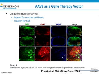 M. Hebben
CONFIDENTIAL
AAV9 as a Gene Therapy Vector
11/02/2015
•  Unique	features	of	AAV9:	
–  Topism	for	muscles	and	heart	
–  Tropism	for	CNS	
–  Capability	to	cross	BBB	
Foust et al. Nat. Biotechnol. 2009
 