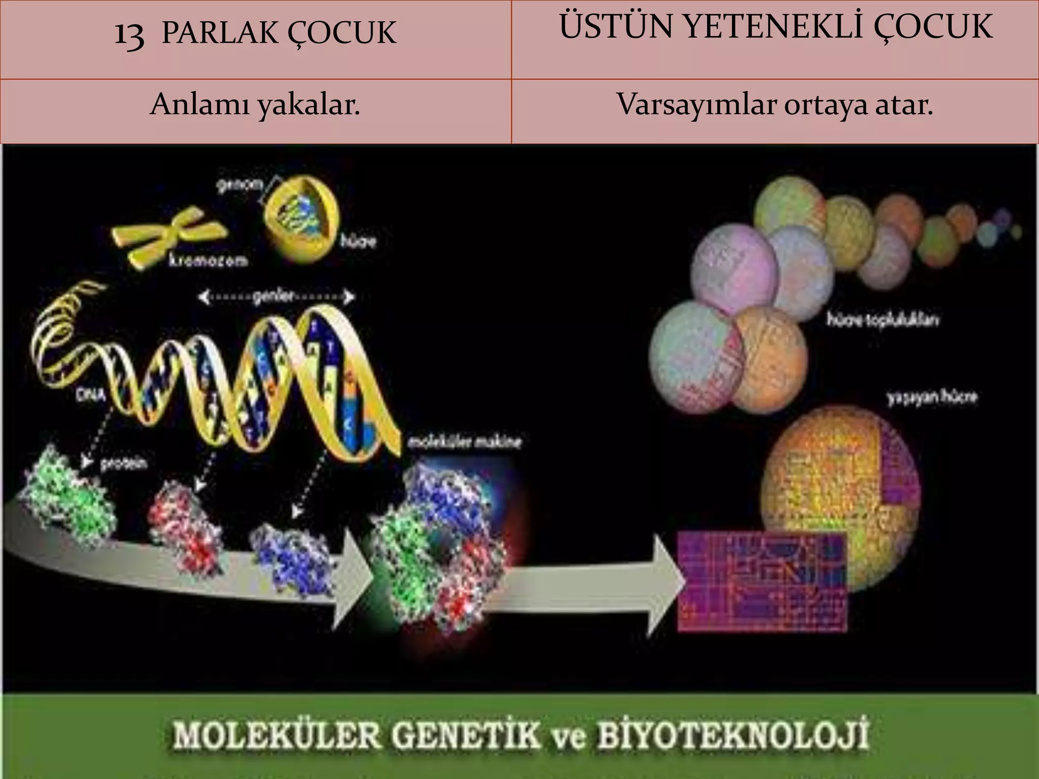 13 PARLAK ÇOCUK ÜSTÜN YETENEKLİ ÇOCUK
Anlamı yakalar. Varsayımlar ortaya atar.
sorgunram.meb.k12.tr
 