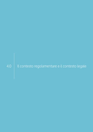 4.0   Il contesto regolamentare e il contesto legale




                                                   29
 
