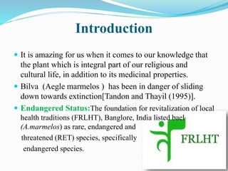 Introduction
 It is amazing for us when it comes to our knowledge that
the plant which is integral part of our religious and
cultural life, in addition to its medicinal properties.
 Bilva (Aegle marmelos ) has been in danger of sliding
down towards extinction[Tandon and Thayil (1995)].
 Endangered Status:The foundation for revitalization of local
health traditions (FRLHT), Banglore, India listed bael
(A.marmelos) as rare, endangered and
threatened (RET) species, specifically
endangered species.
 