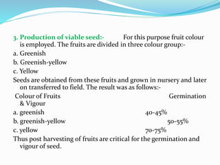 3. Production of viable seed:- For this purpose fruit colour
is employed. The fruits are divided in three colour group:-
a. Greenish
b. Greenish-yellow
c. Yellow
Seeds are obtained from these fruits and grown in nursery and later
on transferred to field. The result was as follows:-
Colour of Fruits Germination
& Vigour
a. greenish 40-45%
b. greenish-yellow 50-55%
c. yellow 70-75%
Thus post harvesting of fruits are critical for the germination and
vigour of seed.
 