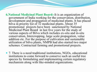 6.National Medicinal Plant Board:-It is an organization of
government of India working for the conservation, distribution,
development and propagation of medicinal plants. It has placed
bilva in priority list of 32 medicinal plants. About 35
promotional projects have been sanctioned by National
Medicinal Plant Board in last five years for the study of
various aspects of Bilva which includes ex-situ and in-situ
conservation, Intercropping, large scale propagation, value
addition etc. For the purpose of cultivation and sustainable
utilization of bilva plants, NMPB had also started two major
schemes: Contractual farming and promotional projects.
 7. There is a need traditional institutions, NGOs, educational
institutions to come forward to conserve such an useful tree
species by formulating and implementing certain regulatory
mechanism along with like-minded organizations.
 
