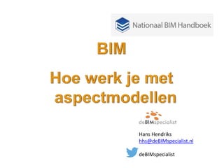 Hans Hendriks
hhs@deBIMspecialist.nl
deBIMspecialist
 